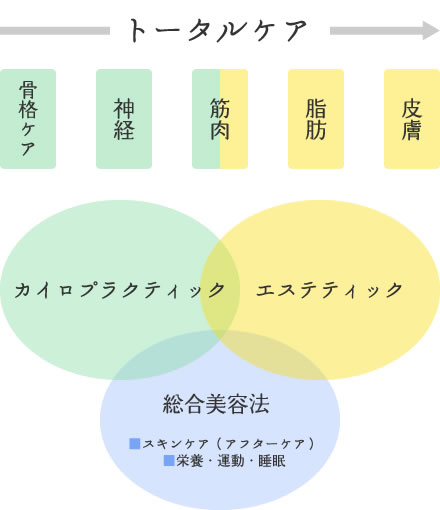 美容カイロエステについて